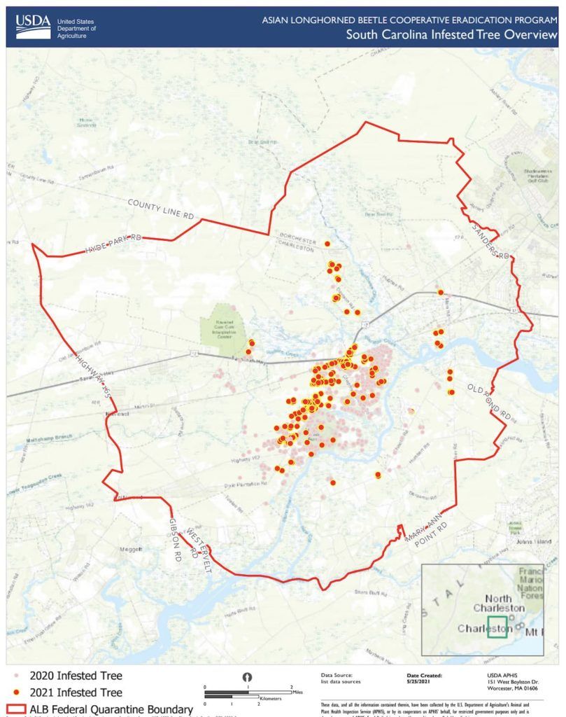 Asian Longhorned Beetle quarantine area in Charleston County | Image: USDA.gov | ThePeoplesBeat.com